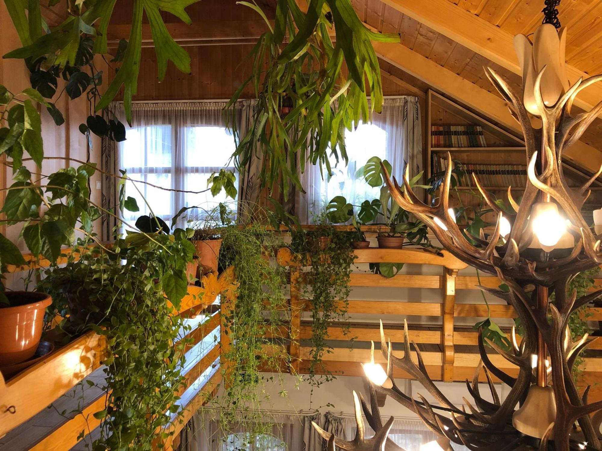 Tiszafa Vendeghaz Szentgal Hotel Buitenkant foto