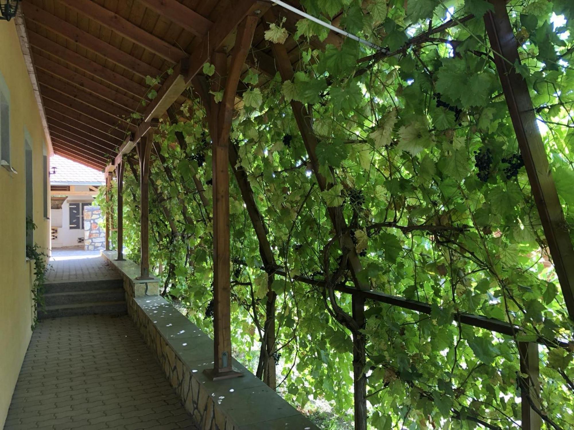 Tiszafa Vendeghaz Szentgal Hotel Buitenkant foto
