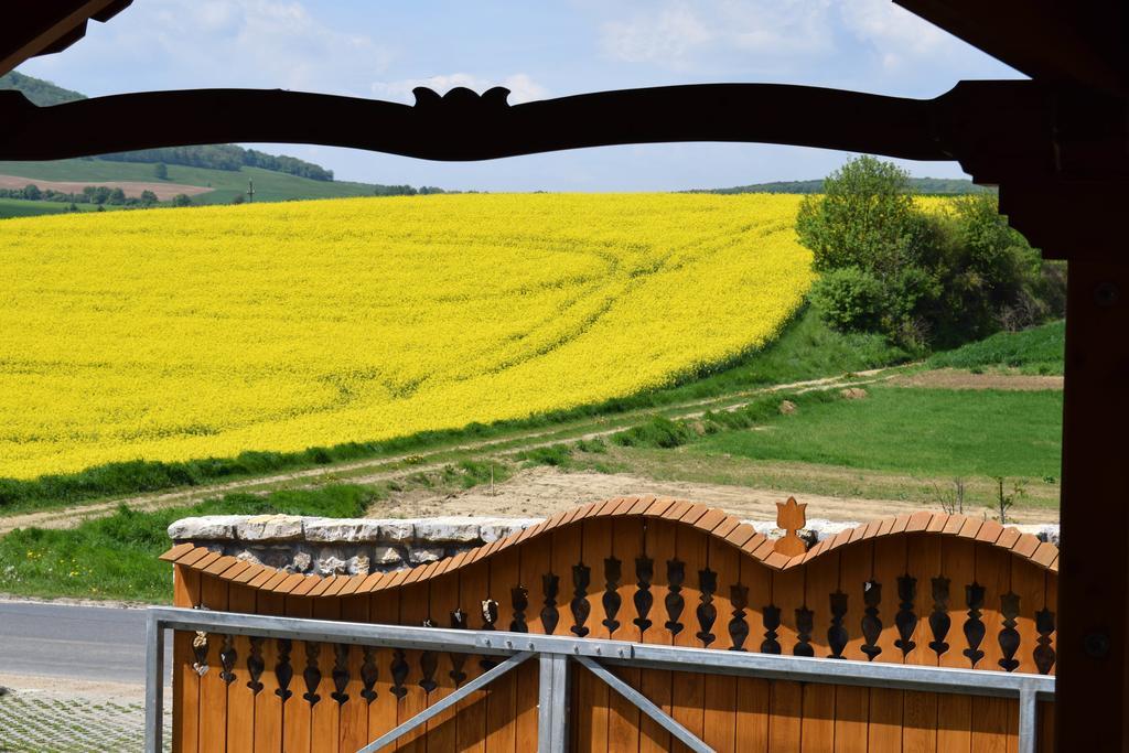 Tiszafa Vendeghaz Szentgal Hotel Buitenkant foto